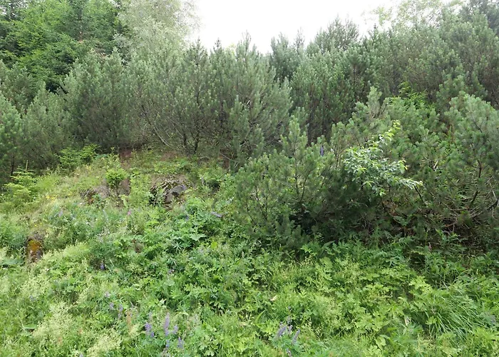 Appartement S4 Cervenohorske Sedlo Loučná nad Desnou